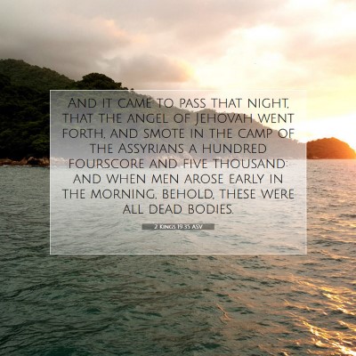 Picture 07 - 2 Kings 19:35 ASV - And it came to pass that night, that the angel of - Bible Verse Picture