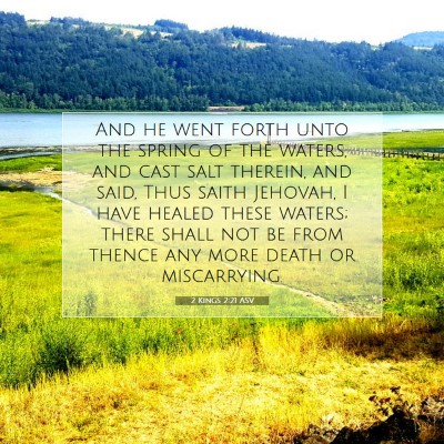 Picture 07 - 2 Kings 2:21 ASV - And he went forth unto the spring of the waters, - Bible Verse Picture