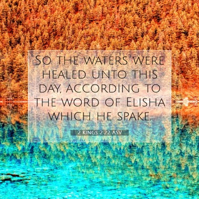 Picture 07 - 2 Kings 2:22 ASV - So the waters were healed unto this day, - Bible Verse Picture