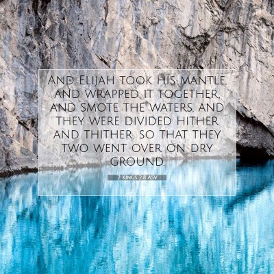 Picture 07 - 2 Kings 2:8 ASV - And Elijah took his mantle, and wrapped it - Bible Verse Picture