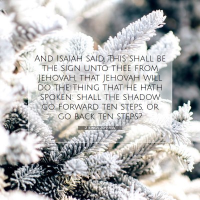 Picture 07 - 2 Kings 20:9 ASV - And Isaiah said, This shall be the sign unto thee - Bible Verse Picture