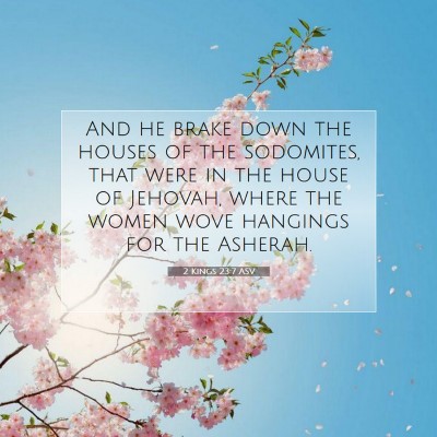 Picture 07 - 2 Kings 23:7 ASV - And he brake down the houses of the sodomites, - Bible Verse Picture
