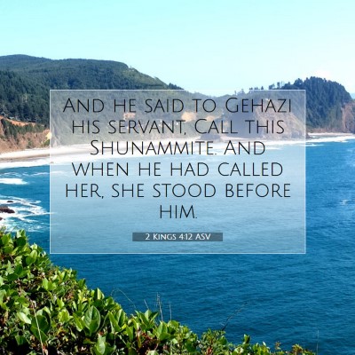 Picture 07 - 2 Kings 4:12 ASV - And he said to Gehazi his servant, Call this - Bible Verse Picture