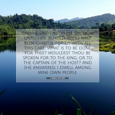 Picture 07 - 2 Kings 4:13 ASV - And he said unto him, Say now unto her, Behold, - Bible Verse Picture