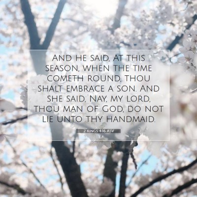Picture 07 - 2 Kings 4:16 ASV - And he said, At this season, when the time cometh - Bible Verse Picture