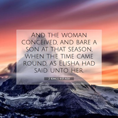 Picture 07 - 2 Kings 4:17 ASV - And the woman conceived, and bare a son at that - Bible Verse Picture