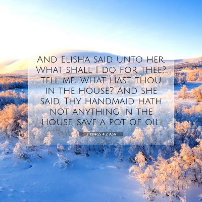 Picture 07 - 2 Kings 4:2 ASV - And Elisha said unto her, What shall I do for - Bible Verse Picture