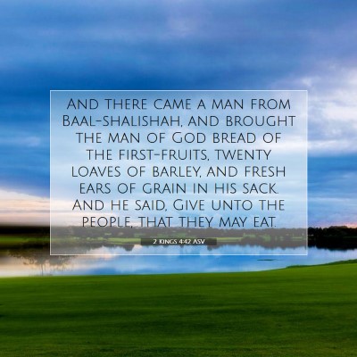 Picture 07 - 2 Kings 4:42 ASV - And there came a man from Baal-shalishah, and - Bible Verse Picture