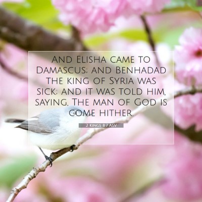 Picture 07 - 2 Kings 8:7 ASV - And Elisha came to Damascus; and Benhadad the - Bible Verse Picture