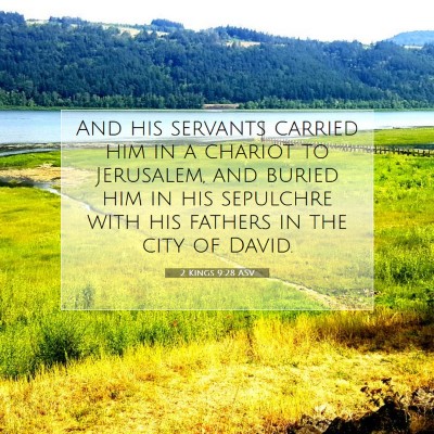 Picture 07 - 2 Kings 9:28 ASV - And his servants carried him in a chariot to - Bible Verse Picture