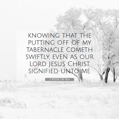 Picture 07 - 2 Peter 1:14 ASV - knowing that the putting off of my tabernacle - Bible Verse Picture