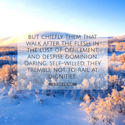 Picture 07 - 2 Peter 2:10 ASV - but chiefly them that walk after the flesh in the - Bible Verse Picture