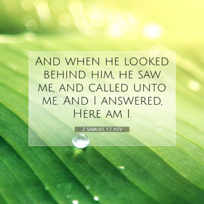 Picture 07 - 2 Samuel 1:7 ASV - And when he looked behind him, he saw me, and - Bible Verse Picture