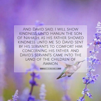 Picture 07 - 2 Samuel 10:2 ASV - And David said, I will show kindness unto Hanun - Bible Verse Picture