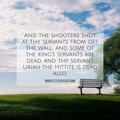 Picture 07 - 2 Samuel 11:24 ASV - And the shooters shot at thy servants from off - Bible Verse Picture