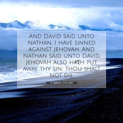 Picture 07 - 2 Samuel 12:13 ASV - And David said unto Nathan, I have sinned against - Bible Verse Picture