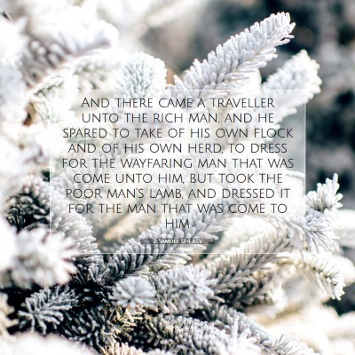 Picture 07 - 2 Samuel 12:4 ASV - And there came a traveller unto the rich man, and - Bible Verse Picture