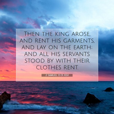Picture 07 - 2 Samuel 13:31 ASV - Then the king arose, and rent his garments, and - Bible Verse Picture