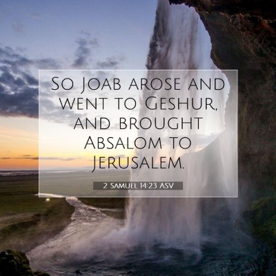 Picture 07 - 2 Samuel 14:23 ASV - So Joab arose and went to Geshur, and brought - Bible Verse Picture