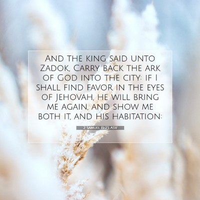 Picture 07 - 2 Samuel 15:25 ASV - And the king said unto Zadok, Carry back the ark - Bible Verse Picture