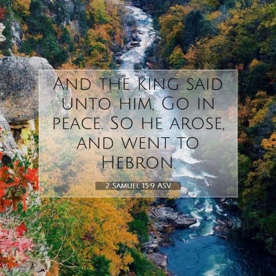 Picture 07 - 2 Samuel 15:9 ASV - And the king said unto him, Go in peace. So he - Bible Verse Picture