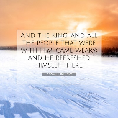 Picture 07 - 2 Samuel 16:14 ASV - And the king, and all the people that were with - Bible Verse Picture