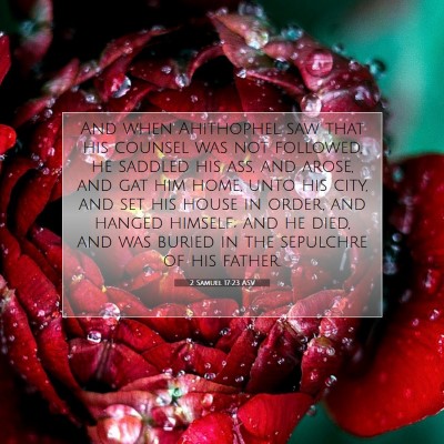 Picture 07 - 2 Samuel 17:23 ASV - And when Ahithophel saw that his counsel was not - Bible Verse Picture