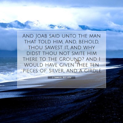 Picture 07 - 2 Samuel 18:11 ASV - And Joab said unto the man that told him, And, - Bible Verse Picture