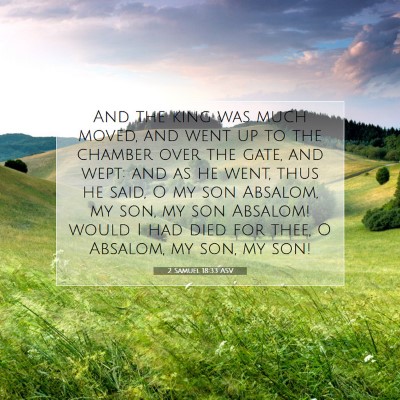 Picture 07 - 2 Samuel 18:33 ASV - And the king was much moved, and went up to the - Bible Verse Picture