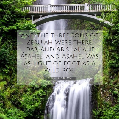 Picture 07 - 2 Samuel 2:18 ASV - And the three sons of Zeruiah were there, Joab, - Bible Verse Picture