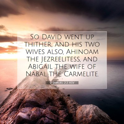 Picture 07 - 2 Samuel 2:2 ASV - So David went up thither, and his two wives also, - Bible Verse Picture