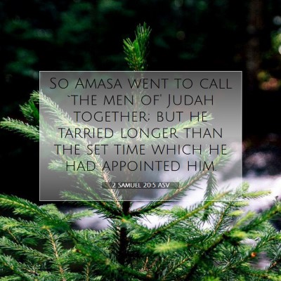 Picture 07 - 2 Samuel 20:5 ASV - So Amasa went to call `the men of' Judah - Bible Verse Picture
