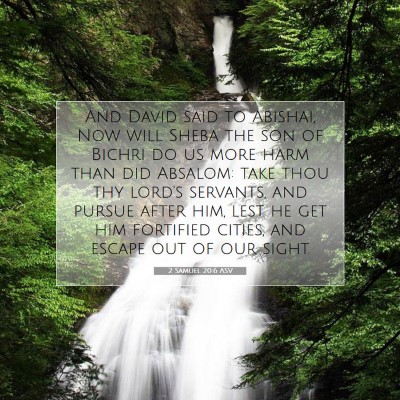 Picture 07 - 2 Samuel 20:6 ASV - And David said to Abishai, Now will Sheba the son - Bible Verse Picture