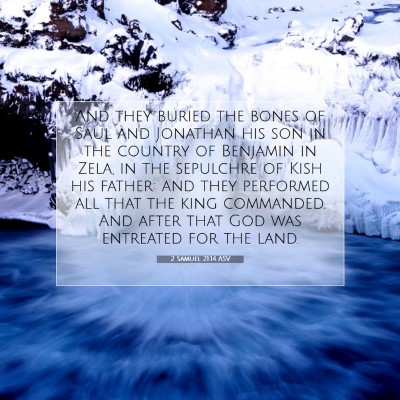 Picture 07 - 2 Samuel 21:14 ASV - And they buried the bones of Saul and Jonathan - Bible Verse Picture