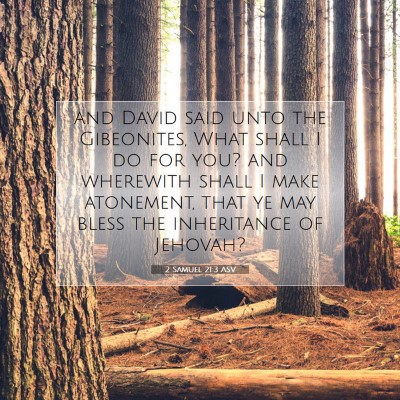 Picture 07 - 2 Samuel 21:3 ASV - and David said unto the Gibeonites, What shall I - Bible Verse Picture