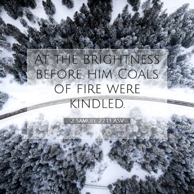 Picture 07 - 2 Samuel 22:13 ASV - At the brightness before him Coals of fire were - Bible Verse Picture