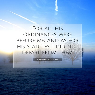 Picture 07 - 2 Samuel 22:23 ASV - For all his ordinances were before me; And as for - Bible Verse Picture