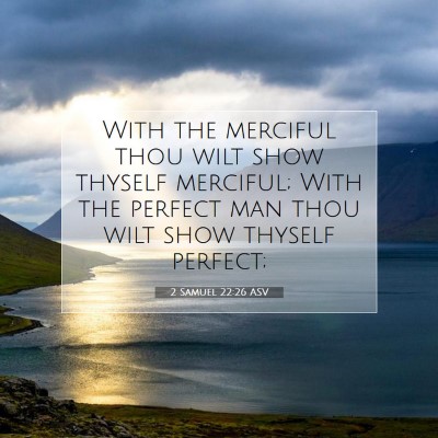 Picture 07 - 2 Samuel 22:26 ASV - With the merciful thou wilt show thyself - Bible Verse Picture
