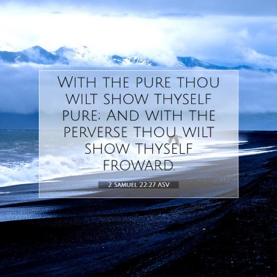 Picture 07 - 2 Samuel 22:27 ASV - With the pure thou wilt show thyself pure; And - Bible Verse Picture