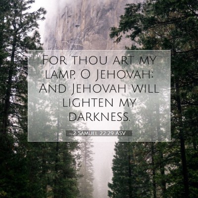 Picture 07 - 2 Samuel 22:29 ASV - For thou art my lamp, O Jehovah; And Jehovah will - Bible Verse Picture