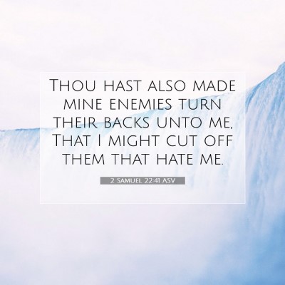 Picture 07 - 2 Samuel 22:41 ASV - Thou hast also made mine enemies turn their backs - Bible Verse Picture