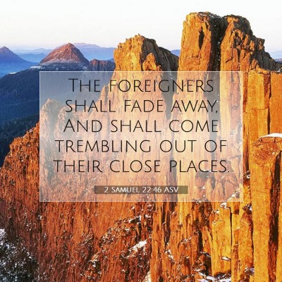 Picture 07 - 2 Samuel 22:46 ASV - The foreigners shall fade away, And shall come - Bible Verse Picture