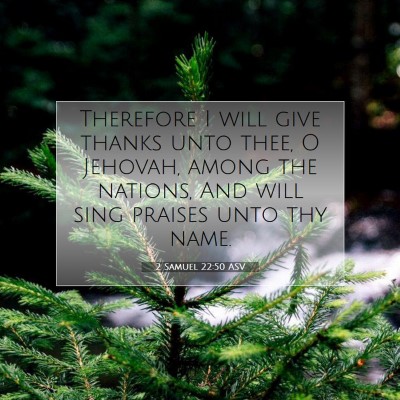 Picture 07 - 2 Samuel 22:50 ASV - Therefore I will give thanks unto thee, O - Bible Verse Picture