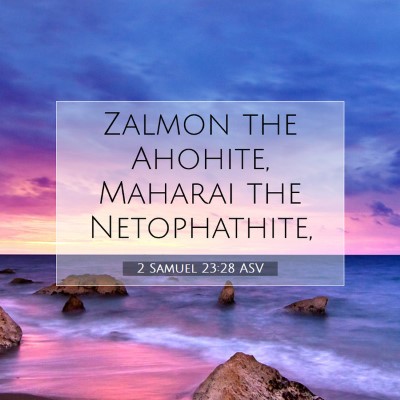 Picture 07 - 2 Samuel 23:28 ASV - Zalmon the Ahohite, Maharai the - Bible Verse Picture