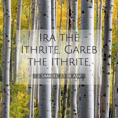 Picture 07 - 2 Samuel 23:38 ASV - Ira the Ithrite, Gareb the - Bible Verse Picture