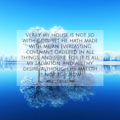 Picture 07 - 2 Samuel 23:5 ASV - Verily my house is not so with God; Yet he hath - Bible Verse Picture