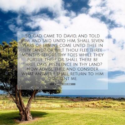 Picture 07 - 2 Samuel 24:13 ASV - So Gad came to David, and told him, and said unto - Bible Verse Picture
