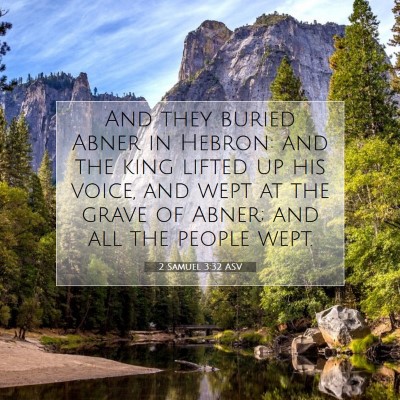 Picture 07 - 2 Samuel 3:32 ASV - And they buried Abner in Hebron: and the king - Bible Verse Picture