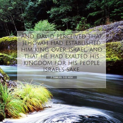 Picture 07 - 2 Samuel 5:12 ASV - And David perceived that Jehovah had established - Bible Verse Picture