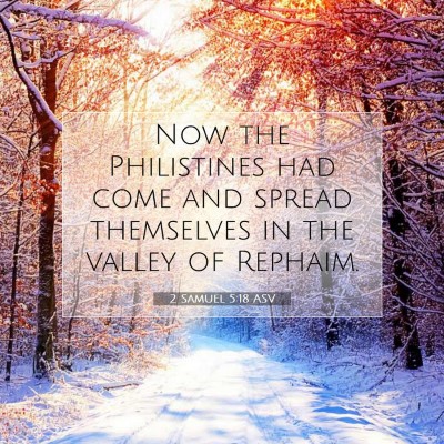 Picture 07 - 2 Samuel 5:18 ASV - Now the Philistines had come and spread - Bible Verse Picture